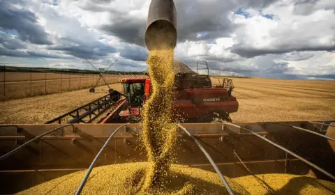 Efeito guerra na Ucrânia faz Brasil mirar produção nacional de fertilizantes