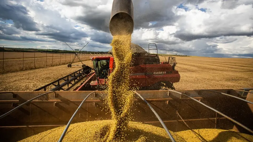 Efeito guerra na Ucrânia faz Brasil mirar produção nacional de fertilizantes