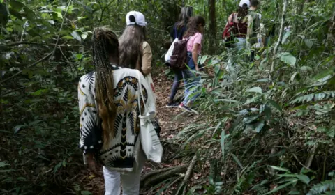 Projeto educativo FrancEcolab apresenta biodiversidade do Cerrado a estudantes