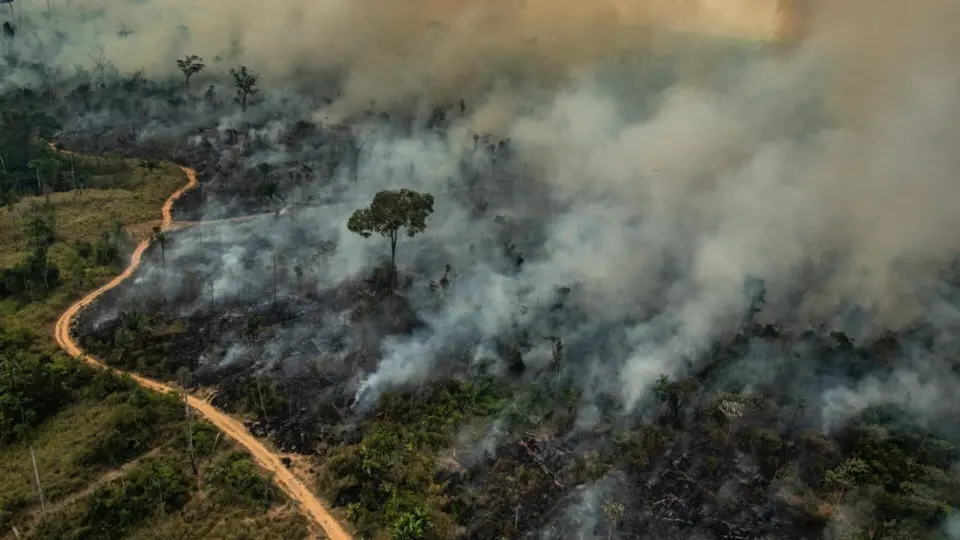 Ação humana pesa mais que mudanças climáticas nos incêndios na Amazônia