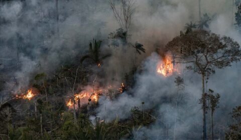Defensoria do Amazonas pede a PGR intervenção federal por queimadas