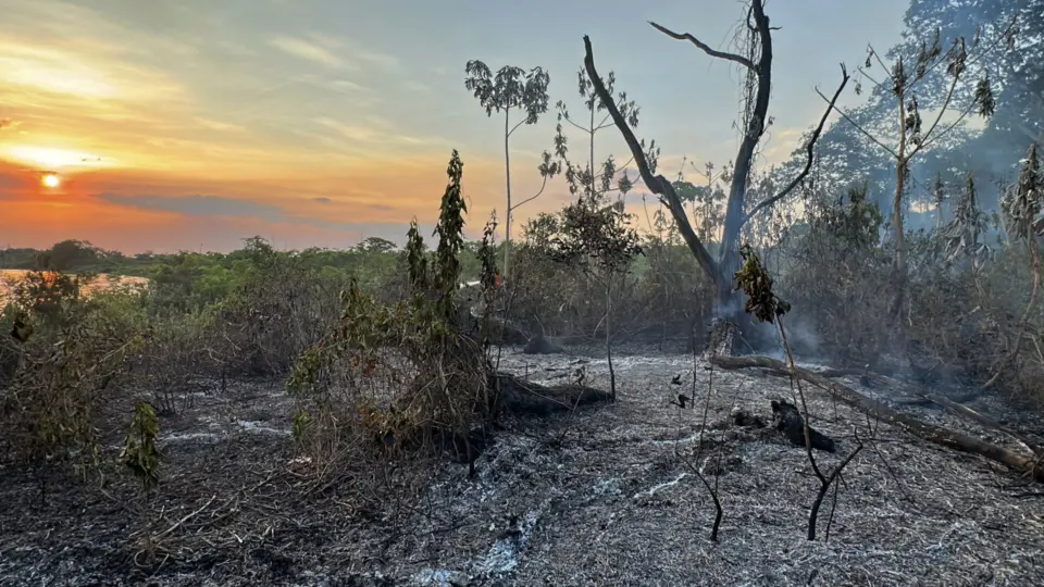 Dias dramáticos no Pantanal com novembro recorde de incêndios, indica Inpe
