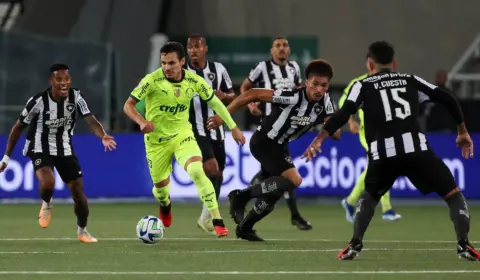 Virada do Palmeiras sobre Botafogo deixa em aberto disputa pelo título do Brasileirão