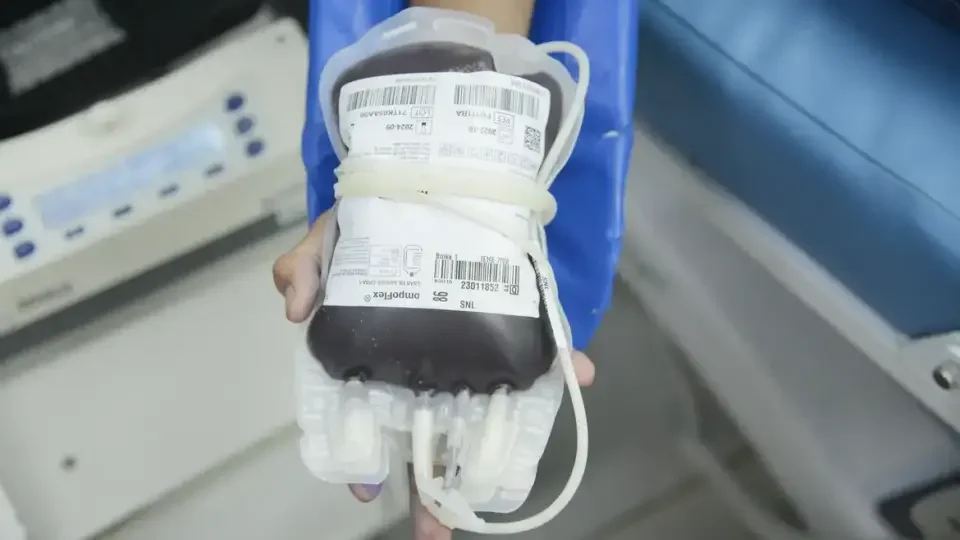 Ministério da Saúde disponibiliza aplicativo para facilitar doações de sangue no Brasil