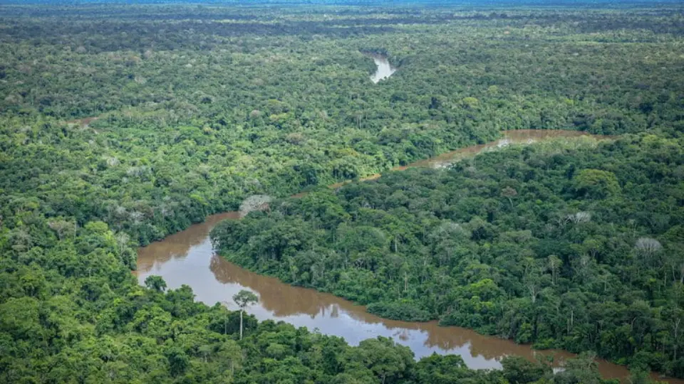 Desmatamento anual na Amazônia registra queda de 22,3%, melhor índice desde 2019