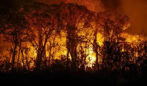 Pantanal registra recorde histórico de incêndios em novembro: mais de 3 mil focos