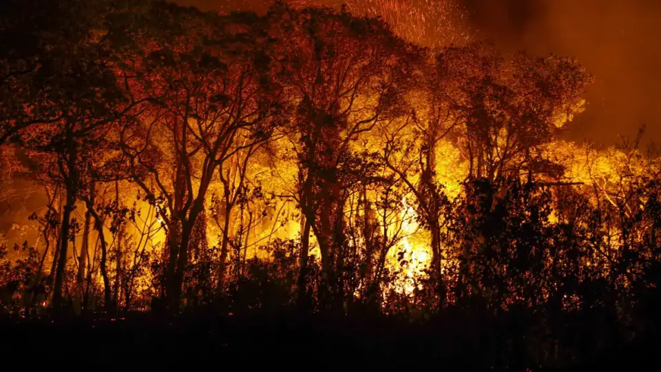 Pantanal registra recorde histórico de incêndios em novembro: mais de 3 mil focos