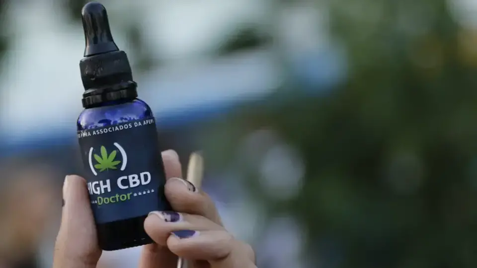Tarcísio sanciona lei para distribuição de cannabis medicinal no SUS de SP