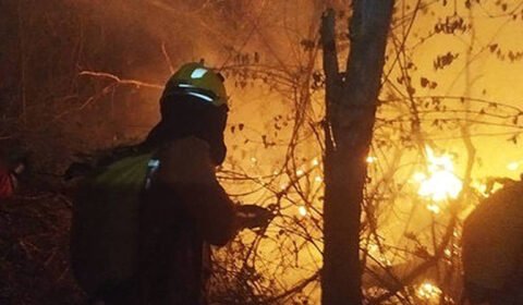 Número de queimadas na caatinga em 2023 foi o mais alto desde 2010