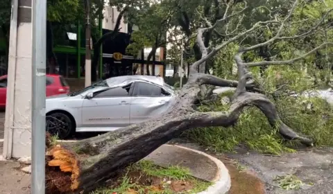 Chuva em SP: Um morto no interior, quatro feridos no Ibirapuera e falta de luz