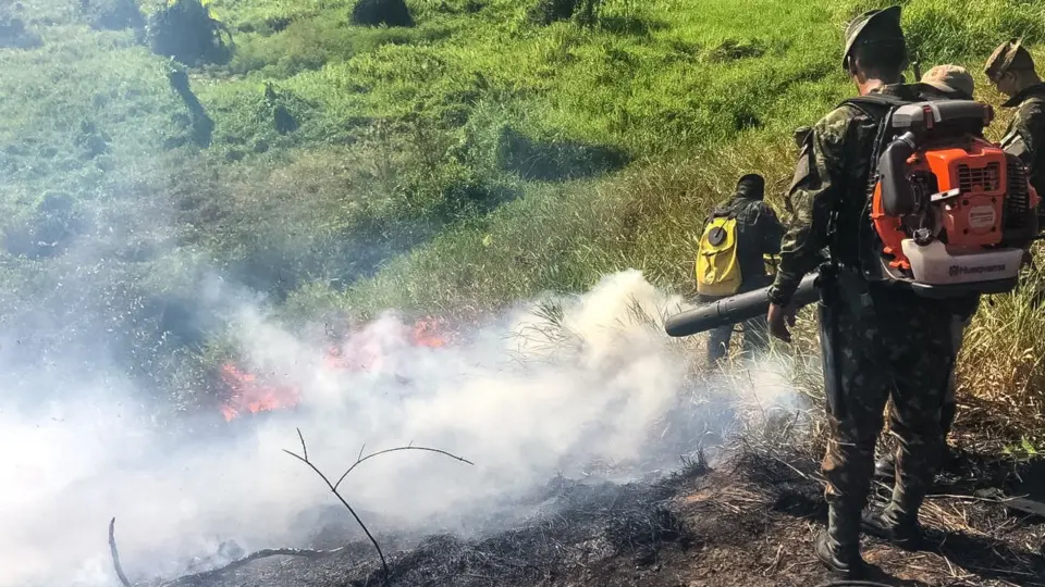 Com El Niño, Brasil registra mais de 17,3 milhões de hectares queimados em 2023