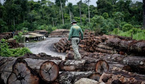 Multas por desmatamento na Amazônia caem 90% com protesto de fiscais do Ibama