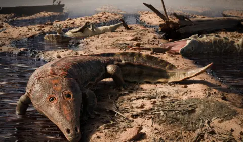 Paleontólogos encontram fóssil de anfíbio gigante no interior do Rio Grande do Sul