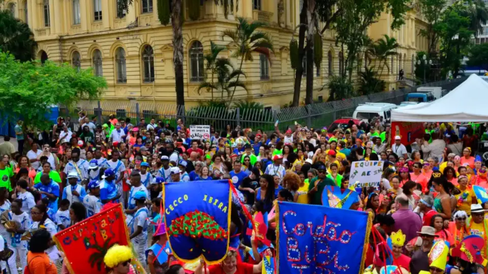 46 blocos de rua fazem a alegria de cariocas e paulistas neste domingo