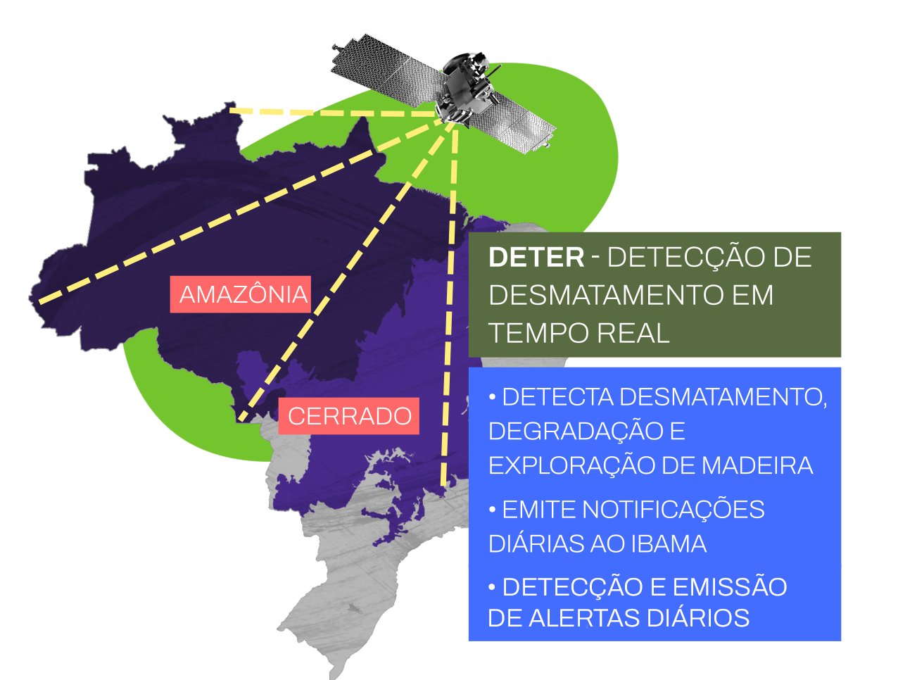 Sistema desenvolvido que emite alertas de incidências de desmatamento na Amazônia