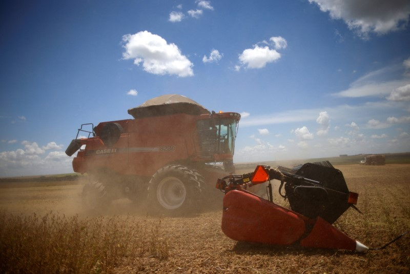 Agropecuária foi setor que mais ajudou a alavancar o PIB. Adriano Machado/Reuters