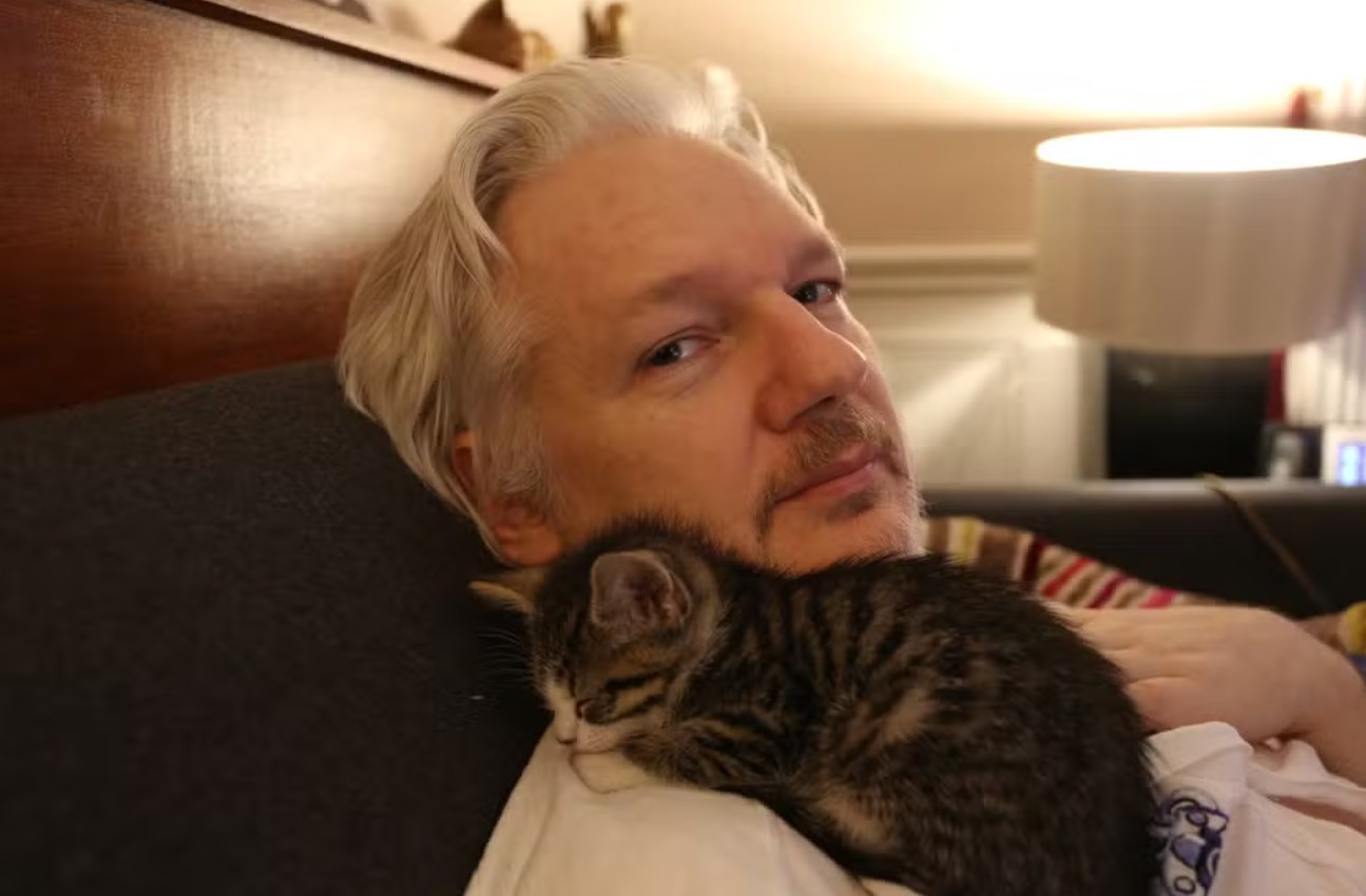 Assange com seu gato: esposa diz que sua saúde está piorando