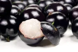 Jabuticaba é eleita a sétima melhor fruta do mundo