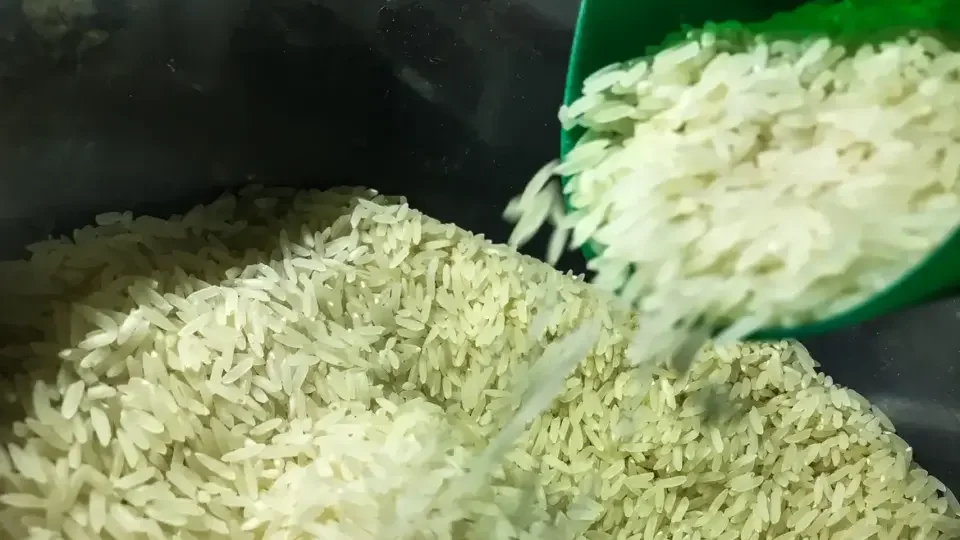 Conab anuncia que arroz importado será vendido aos brasileiros a R$ 4 o quilo