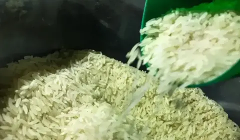 Leilão da Conab arremata 263 mil toneladas de arroz após tribunal derrubar liminar