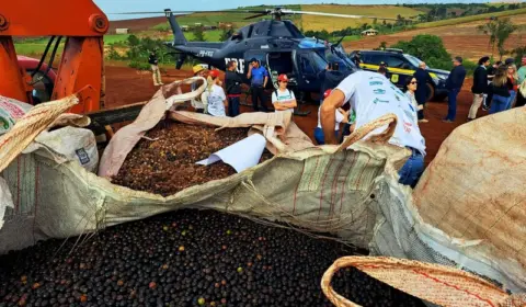MST lança 4 mil quilos de sementes da palmeira juçara com helicóptero da PRF
