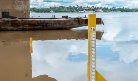 Sistema de monitoramento alerta para seca severa neste ano na Amazônia