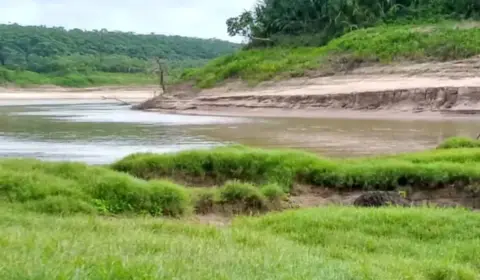 Seca deixa 20 cidades em emergência no Amazonas, e governo pede que população estoque comida