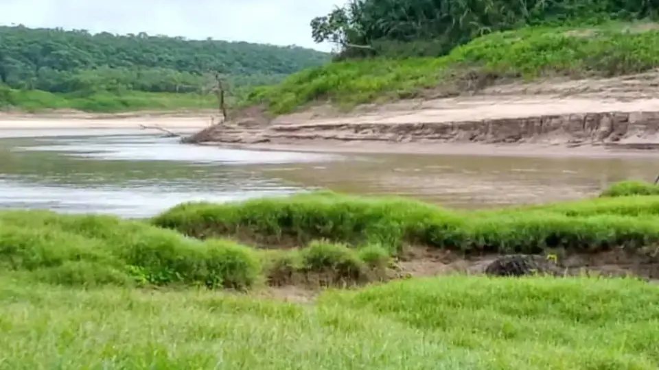 Seca deixa 20 cidades em emergência no Amazonas, e governo pede que população estoque comida