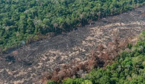 Ruralistas atacam norma contra desmatamento para intensificar plantio de soja na Amazônia