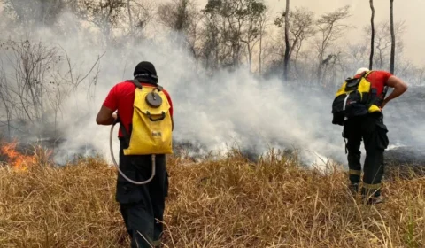 Ministério da Justiça convoca mais 150 bombeiros para atuar na Amazônia Legal