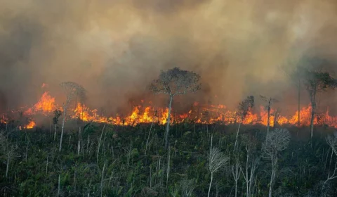 Força Nacional do SUS reforça apoio a estados afetados por queimadas