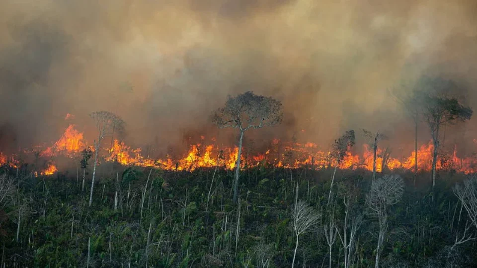 Força Nacional do SUS reforça apoio a estados afetados por queimadas