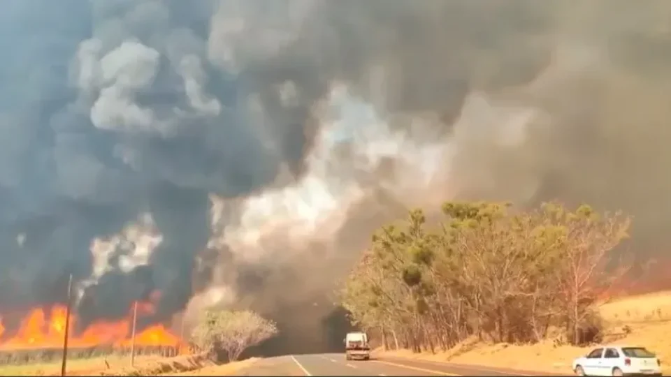 Incêndios em SP começaram simultaneamente e 80% em áreas de agropecuária, diz Ipam