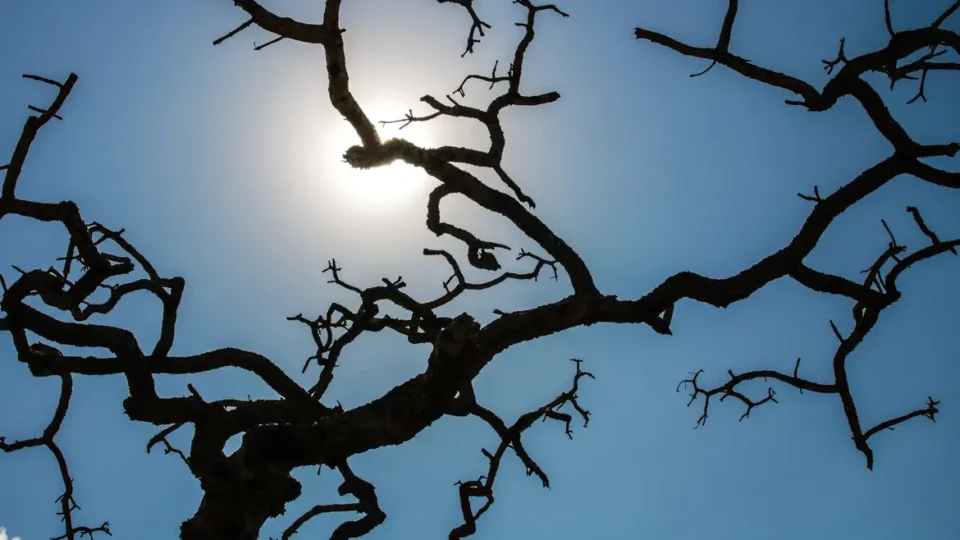 Temperaturas voltam a subir no Sul e no Sudeste; veja a previsão