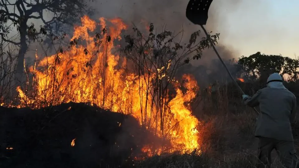 Brasil já registrou mais de 154 mil focos de calor este ano