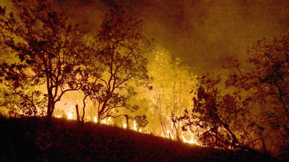 Queimadas persistem na Amazônia; cidades do PA superam mil focos