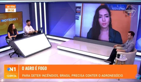 A pesquisadora Sabrina Fernandes analisa a tragédia ambiental brasileira