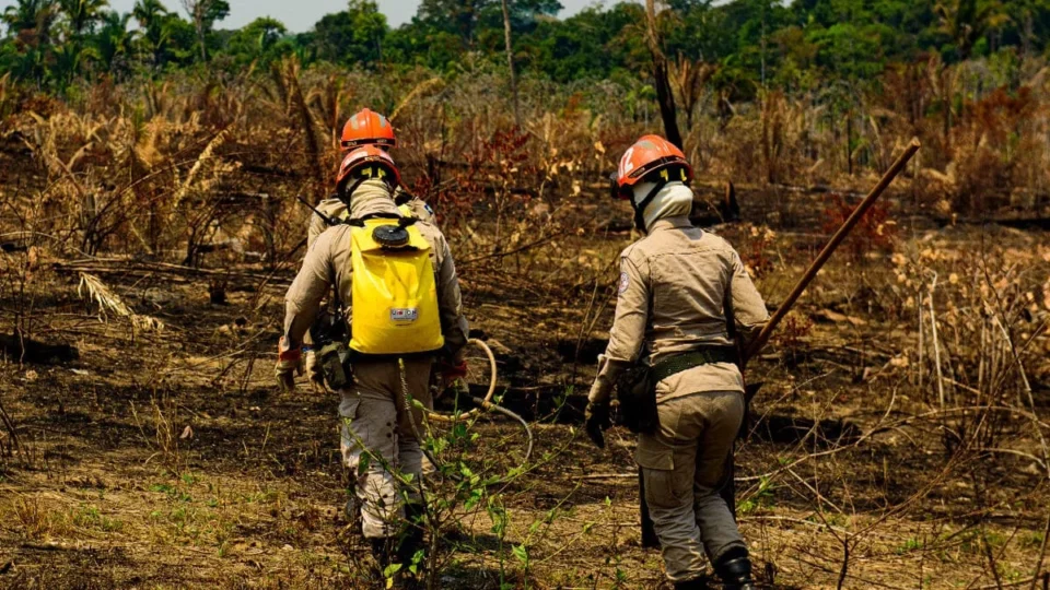 Fazenda palco de “dia do fogo” em 2022 é hoje a que tem mais queimadas no Brasil