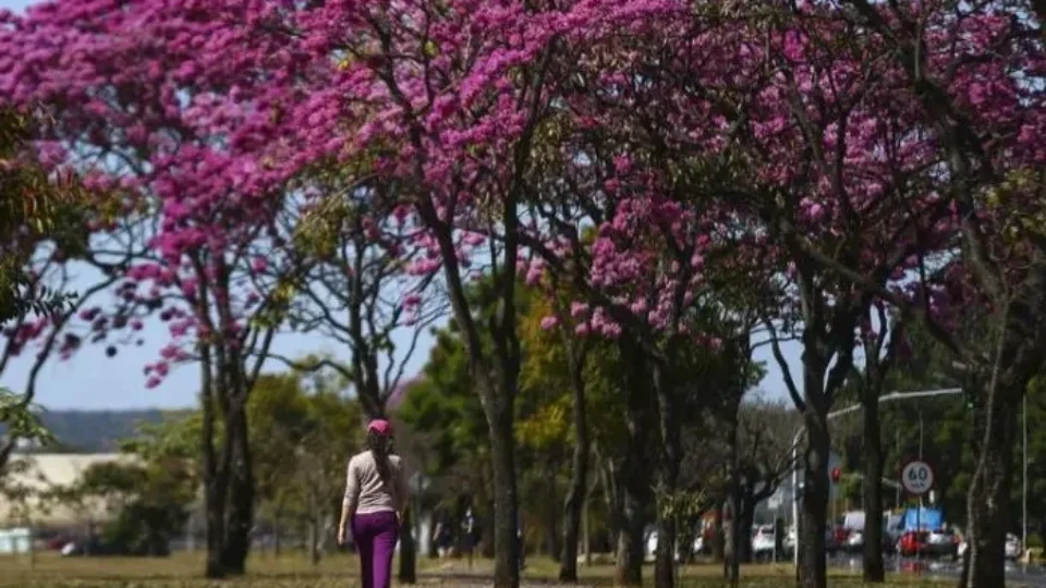 Primavera começa com ondas de calor e volta das chuvas regulares; veja a previsão