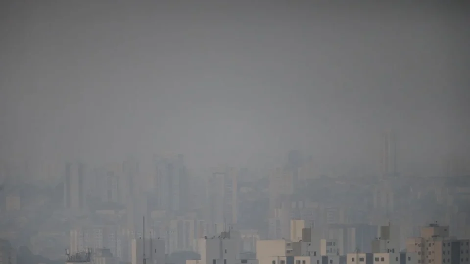 São Paulo tem 76 mortes por síndrome respiratória aguda grave após incêndios