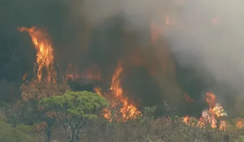 Fogo em Brasília cruza rio, quadruplica e abre novas frentes de queimadas